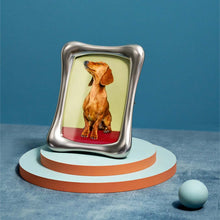 Görseli Galeri görüntüleyiciye yükleyin, Anton Orta Boy Platin Çerçeve 4