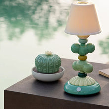 Görseli Galeri görüntüleyiciye yükleyin, Astrophytum Kaktüs Aroma Difüzör V4