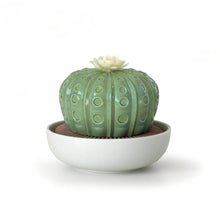 Görseli Galeri görüntüleyiciye yükleyin, Astrophytum Kaktüs Aroma Difüzör