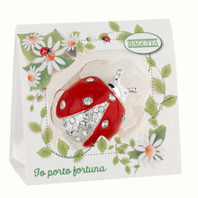 Görseli Galeri görüntüleyiciye yükleyin, Kırmızı Taşlı Uğur Böceği Biblo