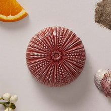 Görseli Galeri görüntüleyiciye yükleyin, Doğanın Yankıları Akdeniz Sahili Kokulu Mum V4