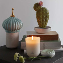 Görseli Galeri görüntüleyiciye yükleyin, Doğanın Yankıları Çayır Kokulu Mum V2