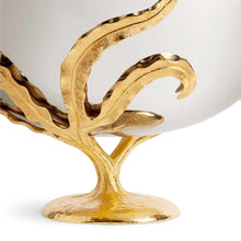 Görseli Galeri görüntüleyiciye yükleyin, Fern Büyük Kase V3