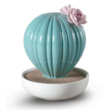 Görseli Galeri görüntüleyiciye yükleyin, Ferocactus Kaktüs Aroma Difüzör