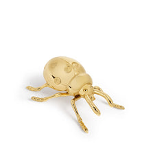 Görseli Galeri görüntüleyiciye yükleyin, Uğur Böceği Şişe Açacağı 2