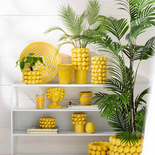 Görseli Galeri görüntüleyiciye yükleyin, Limonlu Çiçeklik Orta 2