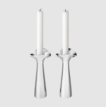 Görseli Galeri görüntüleyiciye yükleyin, Bloom Botanica 2'Li Şamdan