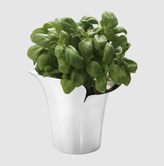 Bloom Botanica Orta Boy Çiçek Saksısı