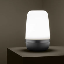 Görseli Galeri görüntüleyiciye yükleyin, Set Üstü Bahçe Aydınlatma Armatürü V4