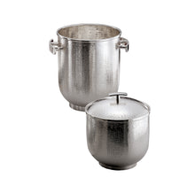 Görseli Galeri görüntüleyiciye yükleyin, Aquarius Gümüş Şampanya Kovası