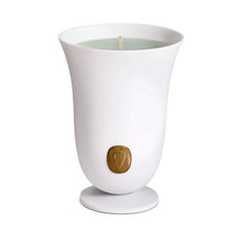 Görseli Galeri görüntüleyiciye yükleyin, Bois Vert Kokulu Mum