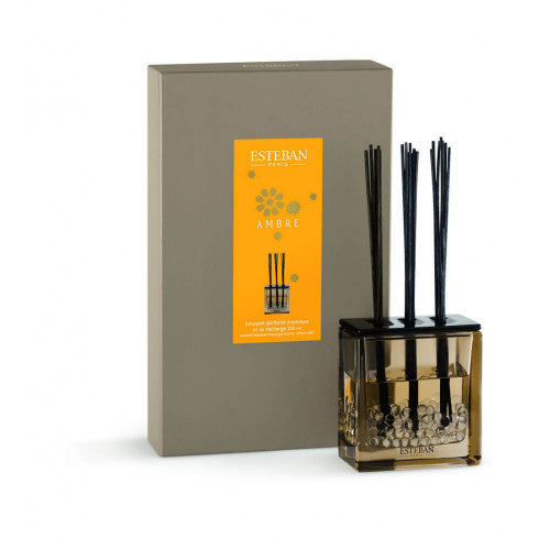 Esteban Paris Ambre 250 ml Cam Hazneli Diffuser Set
