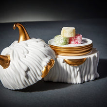 Görseli Galeri görüntüleyiciye yükleyin, Haas Lynda Beyaz Altın 4'lü Bardak Altlığı