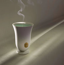 Görseli Galeri görüntüleyiciye yükleyin, Bois Vert Kokulu Mum