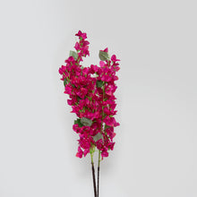 Görseli Galeri görüntüleyiciye yükleyin, Begonvil Dalı