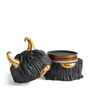 Görseli Galeri görüntüleyiciye yükleyin, Haas Lynda Siyah 4lü Bardak Altlığı