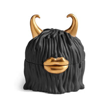 Görseli Galeri görüntüleyiciye yükleyin, Haas Lynda Siyah 4lü Bardak Altlığı