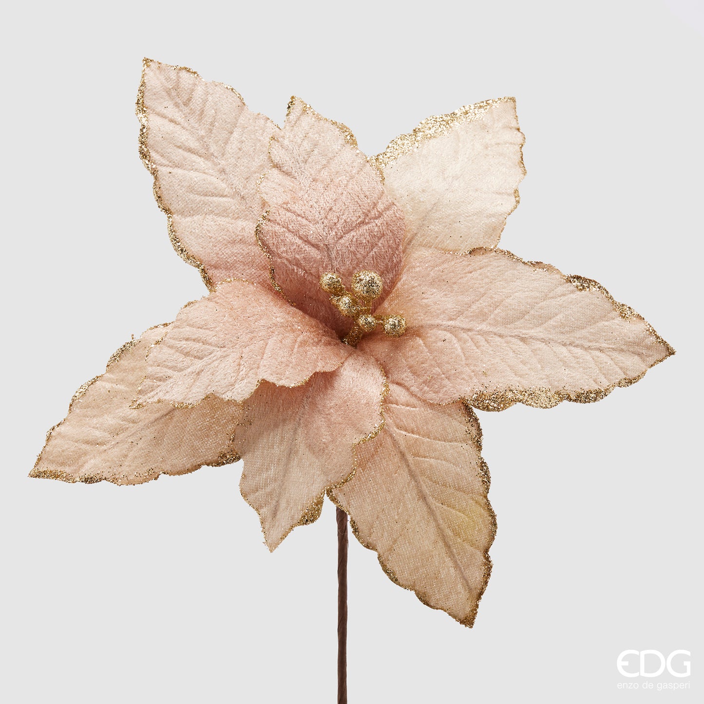 Pembe Atatürk Çiçeği