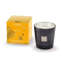 Görseli Galeri görüntüleyiciye yükleyin, Esteban Paris Ambre Mum
