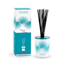 Görseli Galeri görüntüleyiciye yükleyin, Esteban Paris Ylang Ylang 100 ml Difuzer