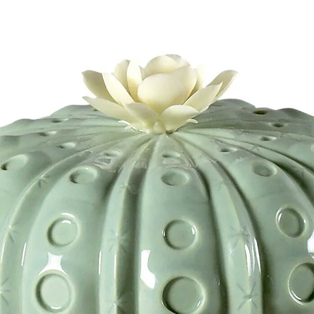 Astrophytum Kaktüs Aroma Difüzör V2