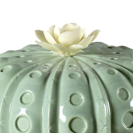 Astrophytum Kaktüs Aroma Difüzör V2