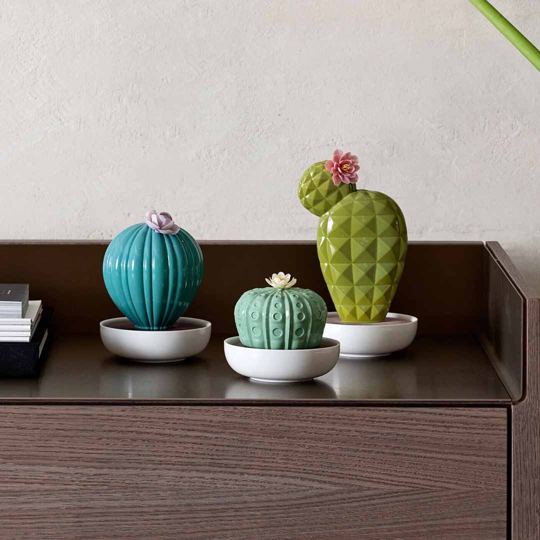 Ferocactus Kaktüs Aroma Difüzör V4