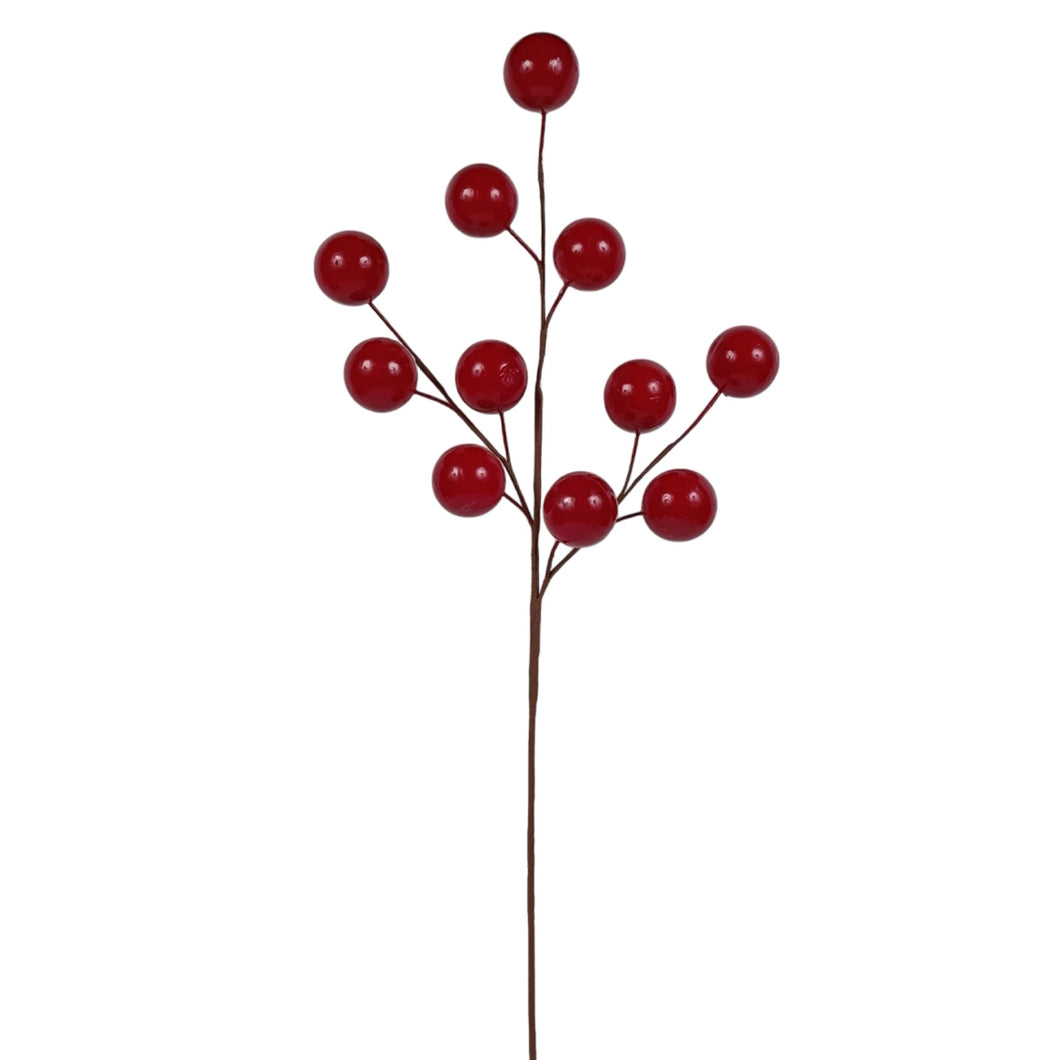 Kırmızı Toplu Dal