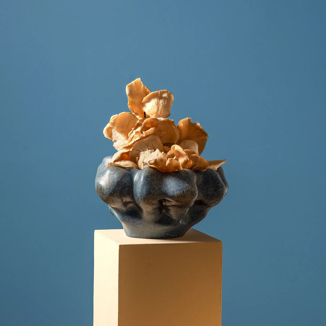 Timna Küçük Bowl 6