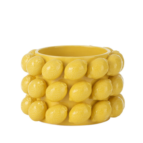 Limonlu Çiçeklik Orta