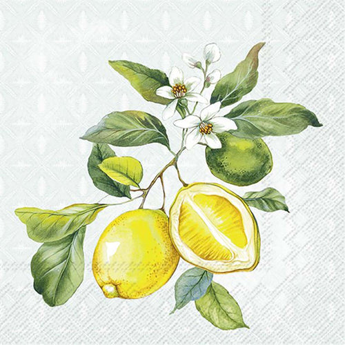 Limonlu Kokteyl Peçetesi