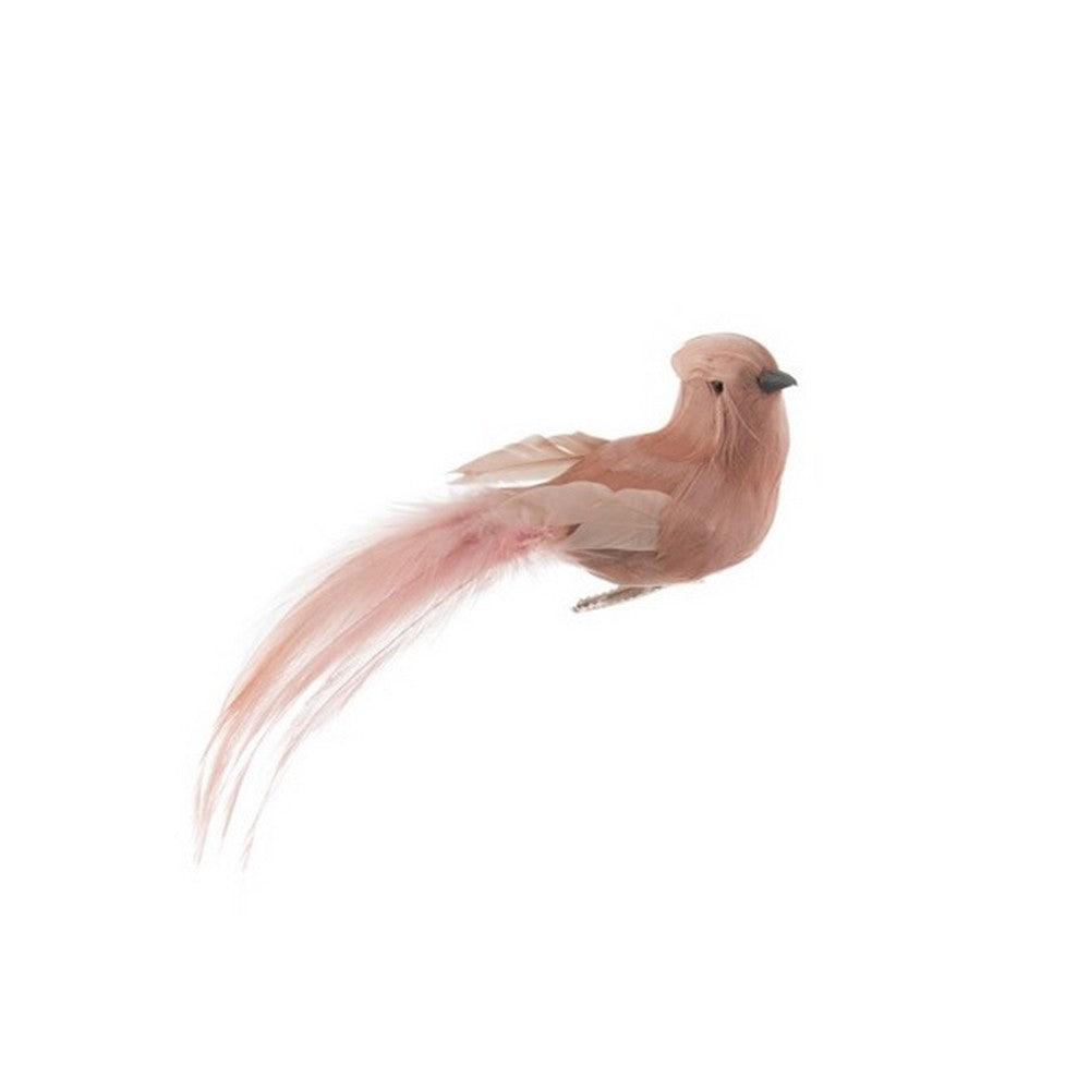 Pembe Tüylü Kuş