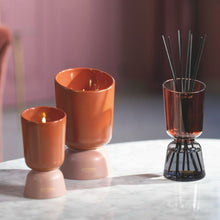 Görseli Galeri görüntüleyiciye yükleyin, Teck &amp; Tonka Cam Haznelı Difüzör 2
