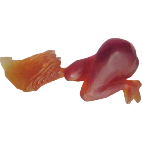 Daum J. Cutileiro Tentatıon Yatan Kadın 500 Ex