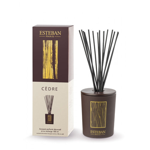 Esteban Paris Cedre Seramik Diffuser 100 ml Koku