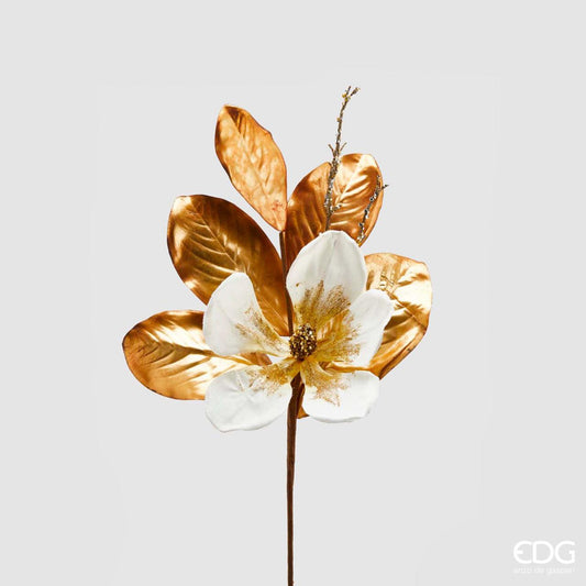 Altın Yapraklı Beyaz Manolya