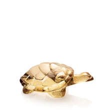 Görseli Galeri görüntüleyiciye yükleyin, Carolıne Altın Kaplumbağa
