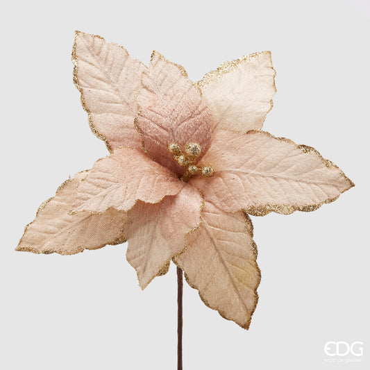 Pembe Atatürk Çiçeği