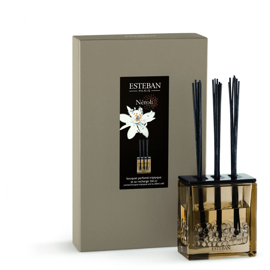 Esteban Paris Neroli 250 ml Cam Hazneli Diffuser Set
