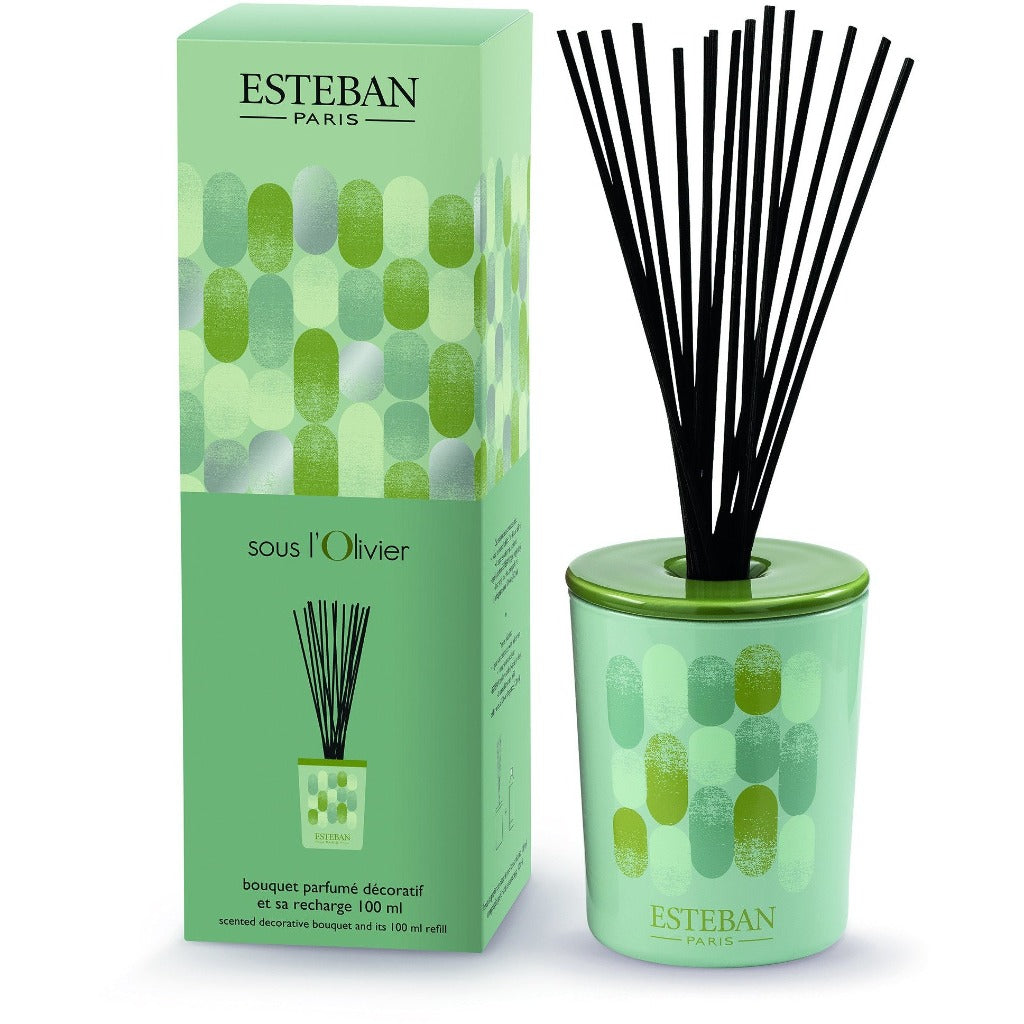 Esteban Paris Olivier 100 ml Cam Hazneli Diffuser Set