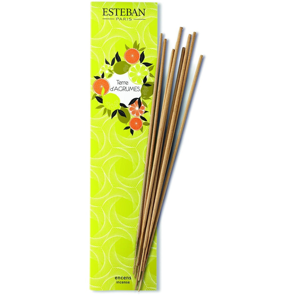 Esteban Paris Bamboo Terre Çubuk