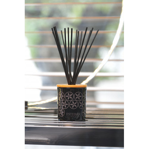 Esteban Paris Neroli Seramik Diffuser Ve 100 ml Koku