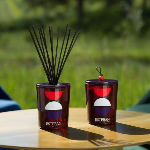 Rouge Cassis Kokulu Seramik Oda Kokusu