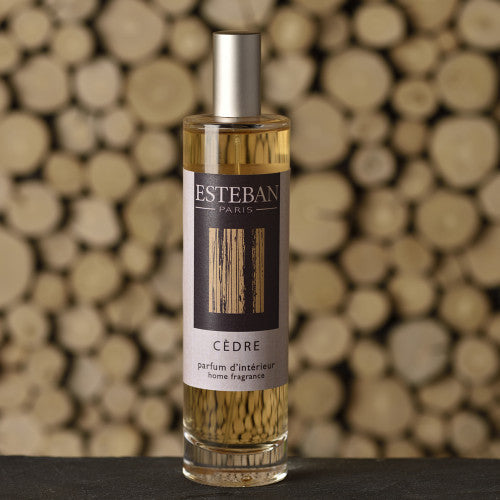 Esteban Paris Cedre Oda Spreyi